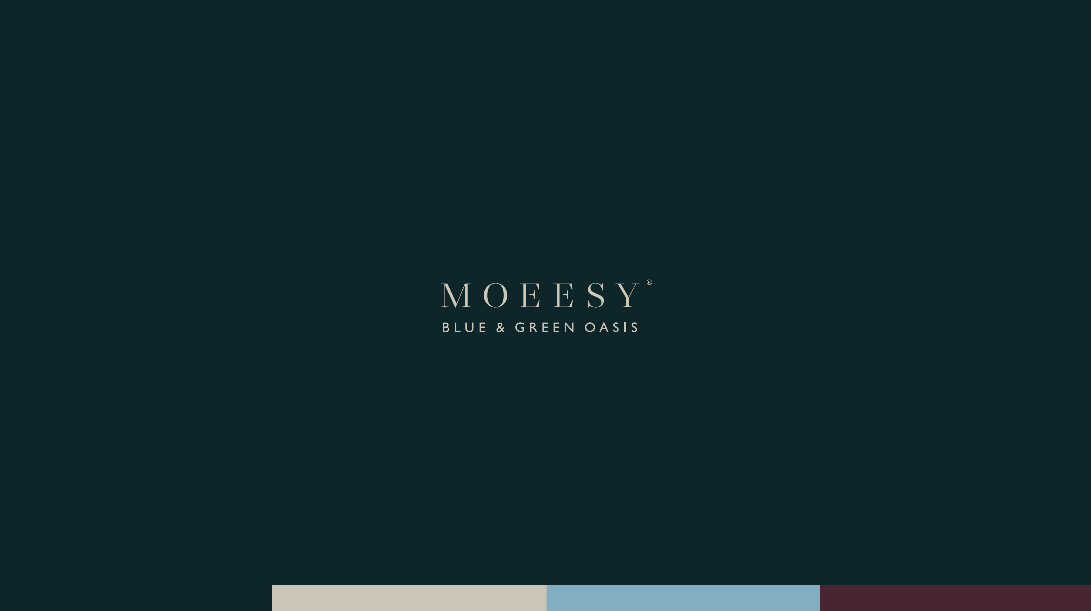 Logo Moeesy